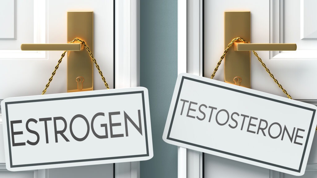 Testosteron in de overgang en peri-menopauze afbeelding
