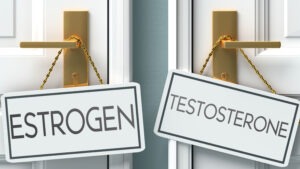 Testosteron in de overgang en peri-menopauze afbeelding
